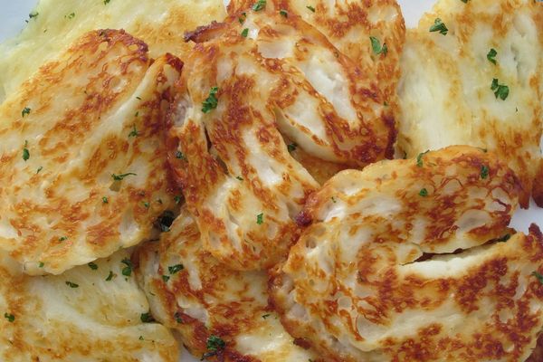Golden grilled halloumi slices on a plate